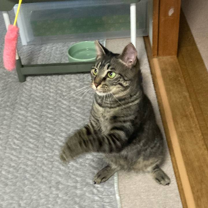 08fec063 20d4 4b61 9f40 900f4cee1259 1624696638092