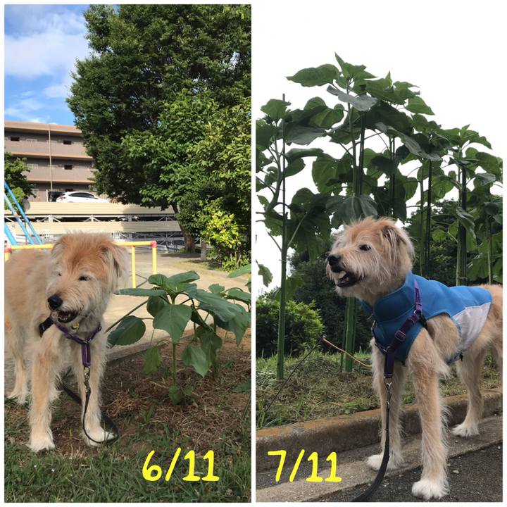 08feca24 4b05 4b65 aafb cacd93dce283 1594434080063