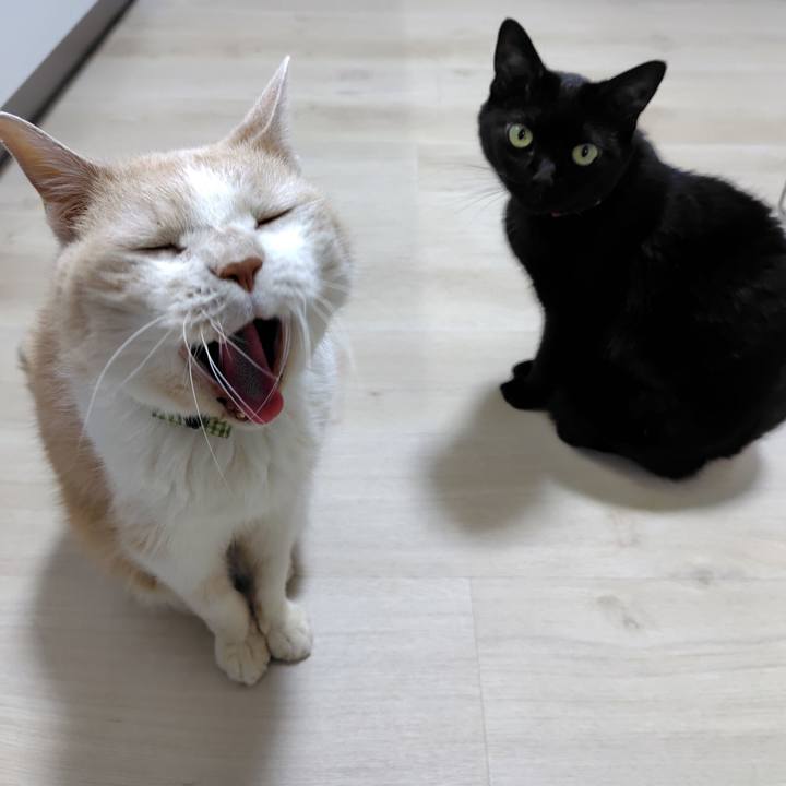 08ff0d4c f5af 41d1 9053 496aa3ed449d 1719916578328