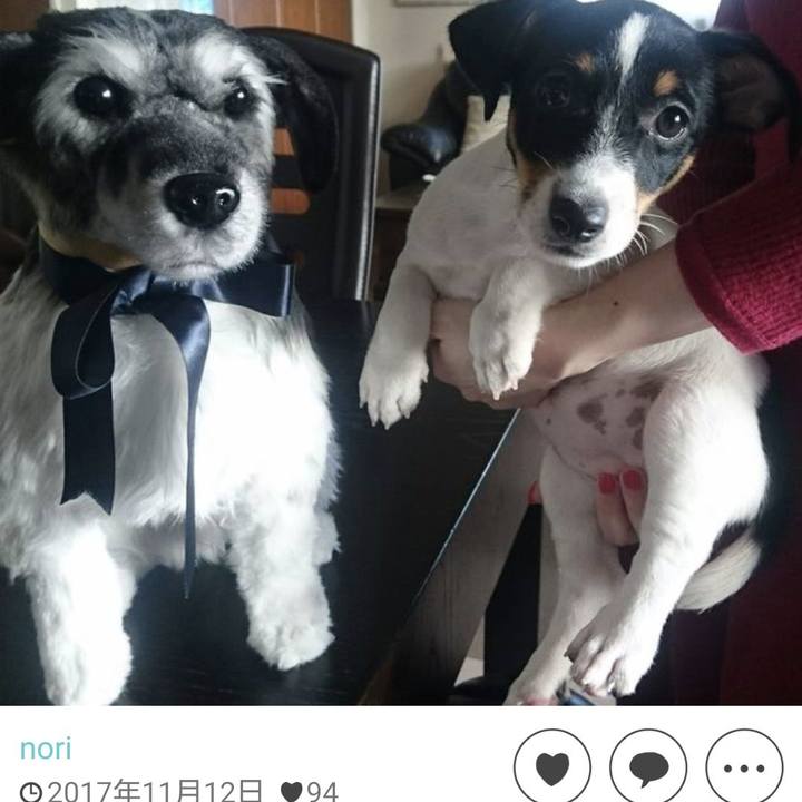 08ff573d 7b6b 4a54 a695 de585aa9d7f6 1731478675449