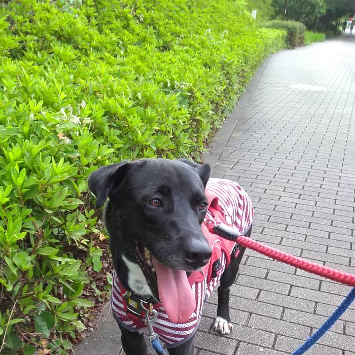 08ff5860 9eb2 4a79 b494 a4a39e27eaf2 1594424774947