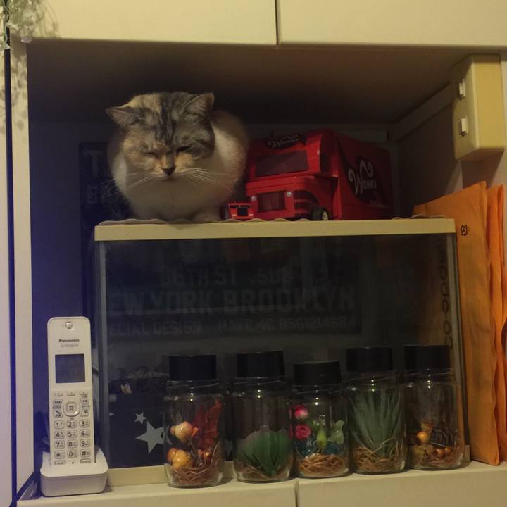 08ff5e49 0396 4487 acf1 75755e561399 1571364073201