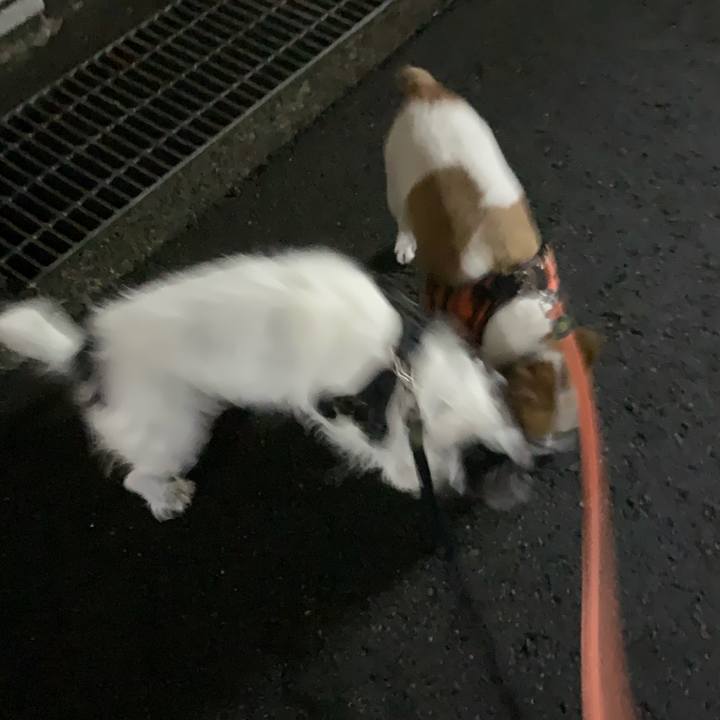 08ff61ce 7687 4eb4 ae1d c98680af89b3 1630499730985