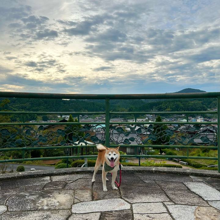 08ff70a6 b344 48a0 a644 d72d37339c20 1726919819362