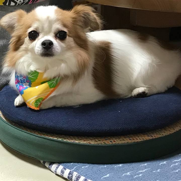 08ff888d 4e8d 44ce 8e7c ad3793856500 1558177941854