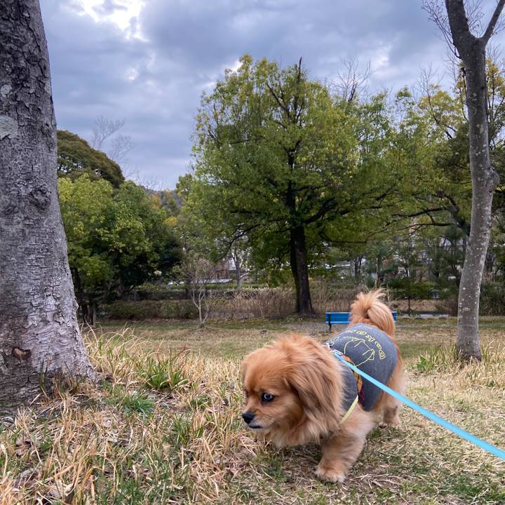 08ffec42 2fff 4e7f aa42 8b5322e547eb 1648849300973