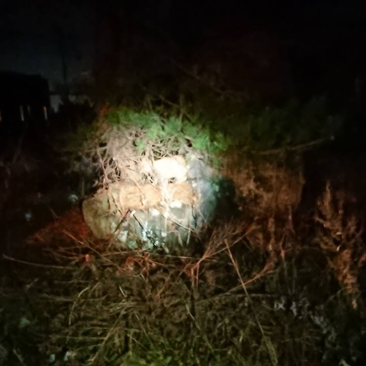 08fff83b 6963 4880 8ca0 2d58d2d5e3dc 1639484890629