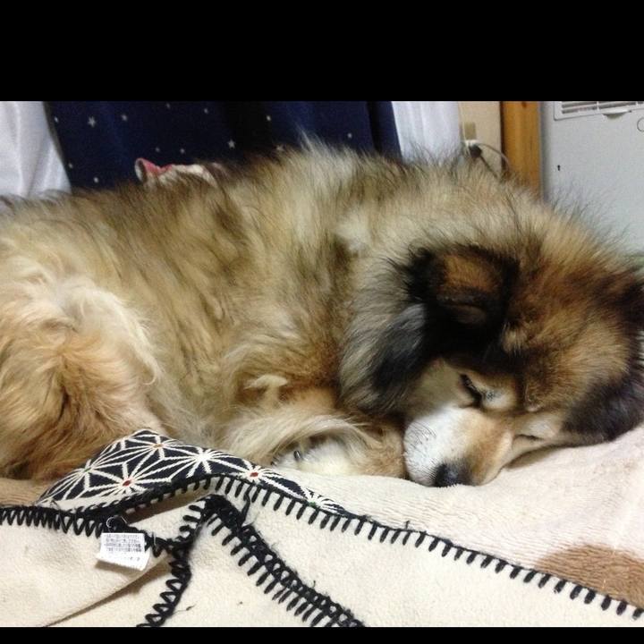 090012a9 8fd7 48ce 92f7 1b52a92e7110 1577755641645