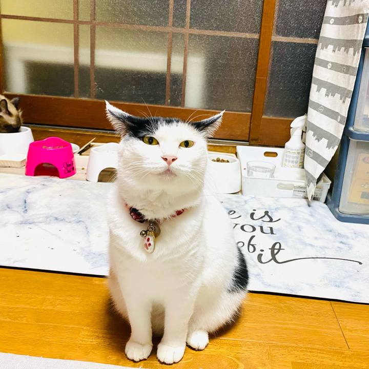 0900221f daa8 4bff 82e9 2466fbb61752 1727788232130