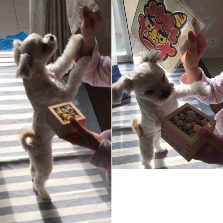 09002708 2073 4321 9ec1 30778757f4db 1517646754373