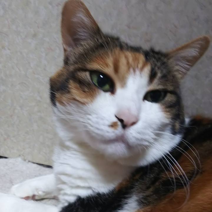 09004181 c688 4bab a853 3e7a59f3a668 1576791476184