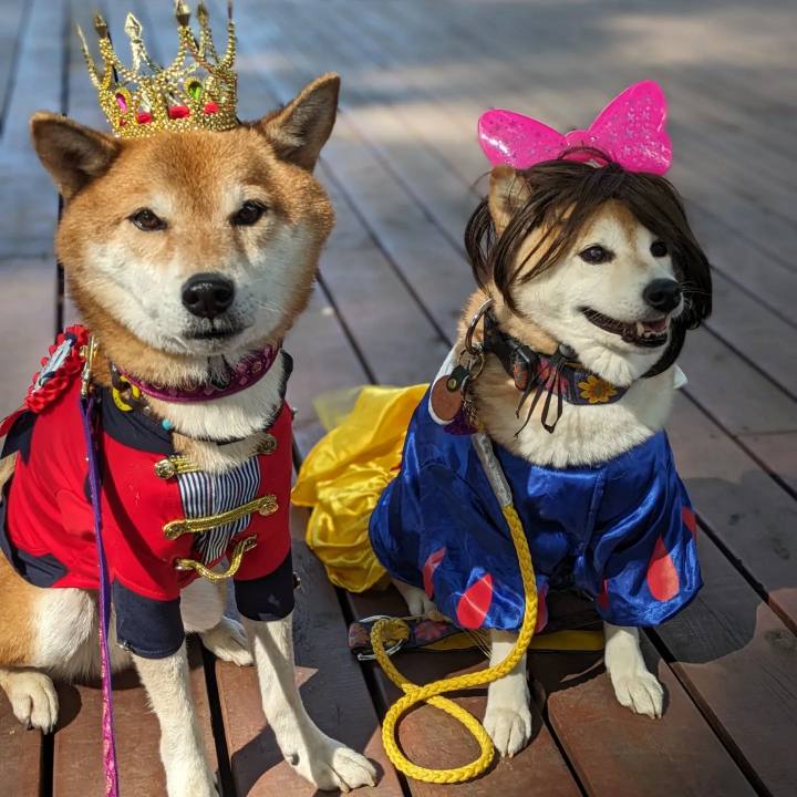 09004a9f 84d6 41e2 a9bb f0f4a78f1618 1698711661068