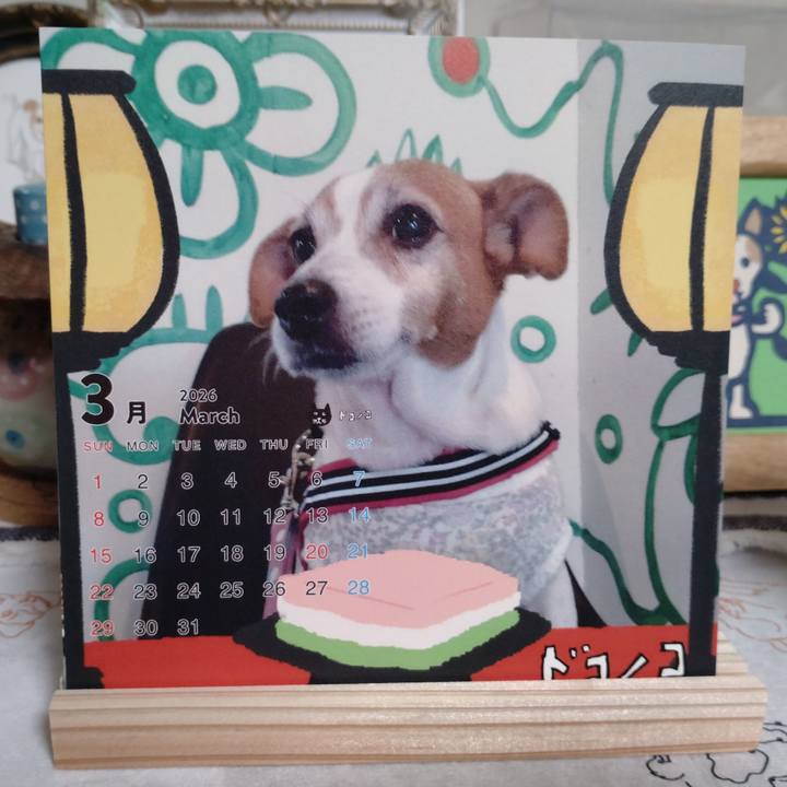 090084bf 847e 498f 8813 e66ab99e7cfc 1772366182410