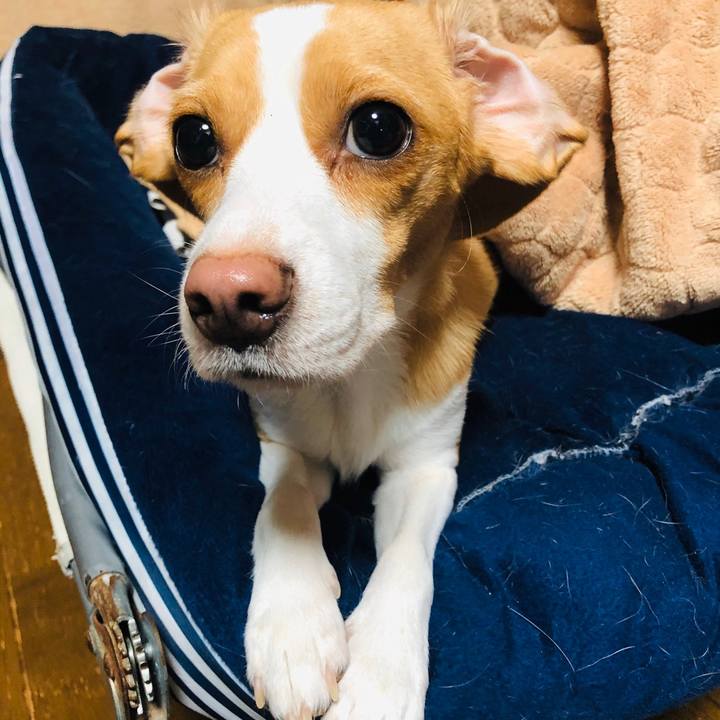 09008acd f759 4bb4 939a 54760daffafc 1571578975107