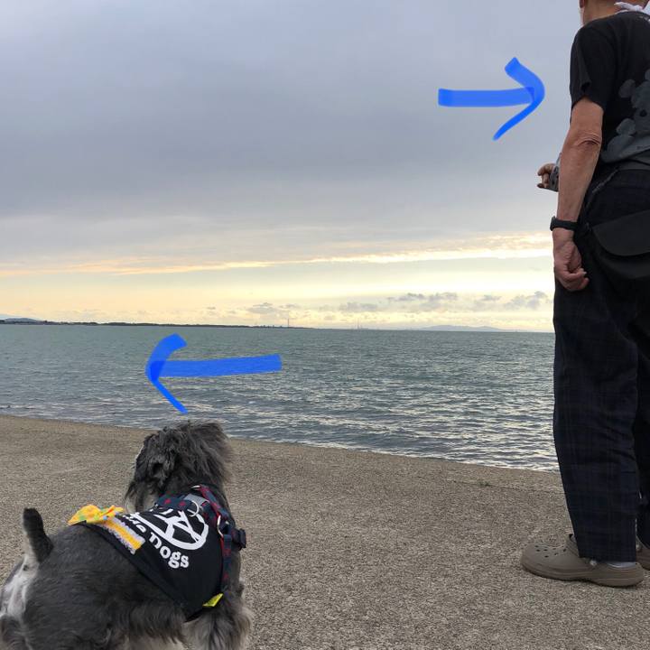 090093f9 c19b 4132 b081 872229cd5200 1621674522664