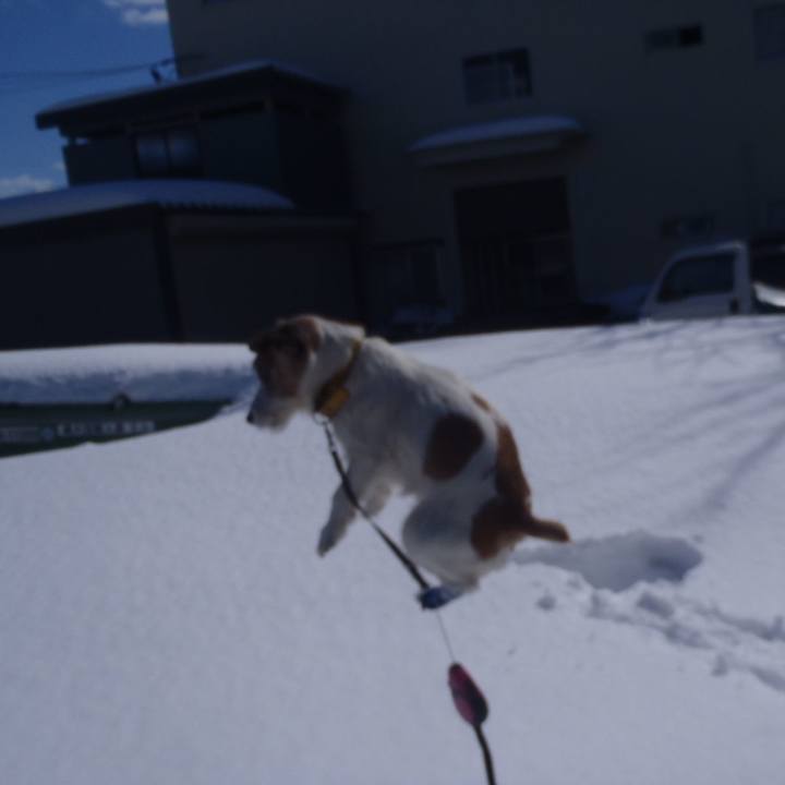 0900b537 2f0a 4c6e b44f 08936815bcf6 1518692392739