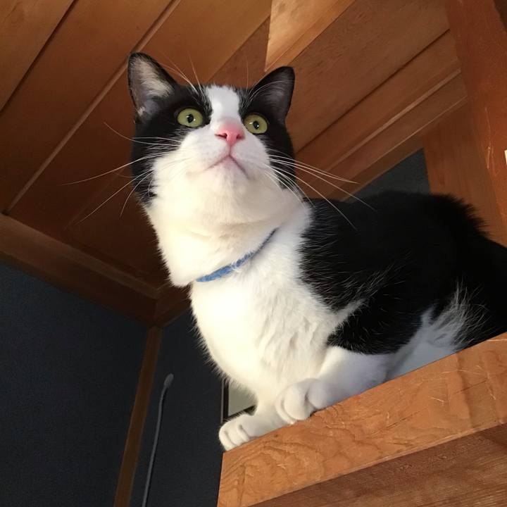 0900c30f 8263 4f4d b973 93e3beffb5fd 1673347125653