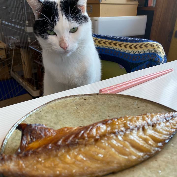 0900f717 6fd7 43d8 b0b6 aa8786beb0b5 1612259954355