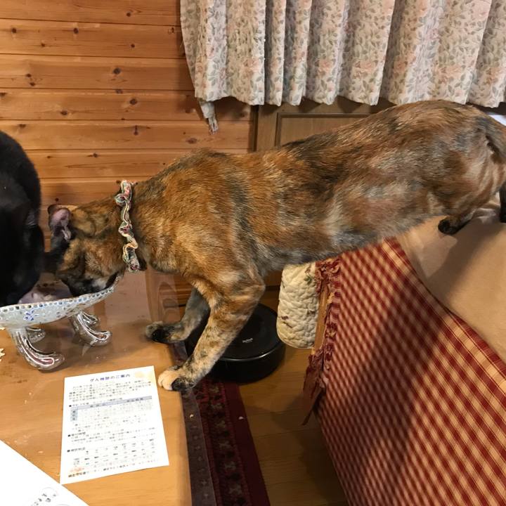 0900ff30 4b58 470e 8c92 ab90285e748b 1634383789276