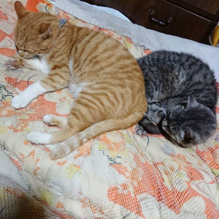 09010957 4b2c 4692 b815 865a1c873478 1571489093953