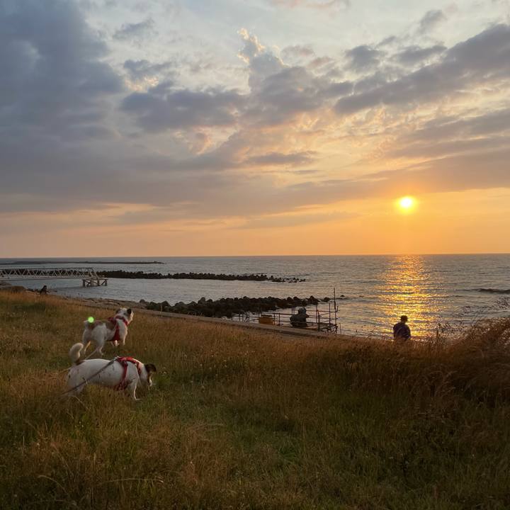 090160bf 6610 408b 8a35 5d0525f7d6fc 1656155874042