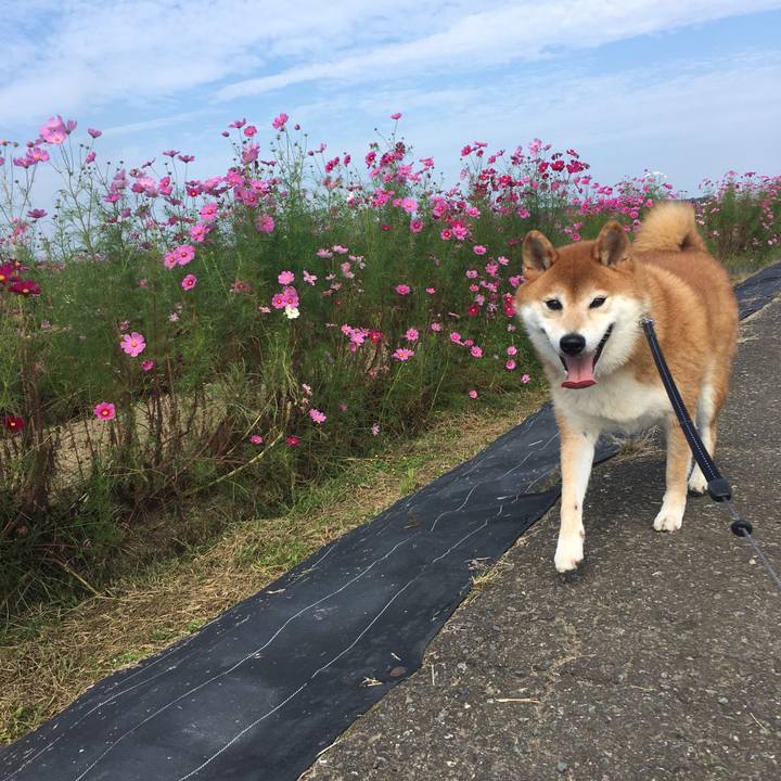 090196fe 3b3e 4bd3 b053 c3c9f81604b9 1633777101782