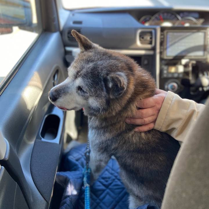 09019dbc 4ace 4af8 96f1 4c01105b3070 1771727908302