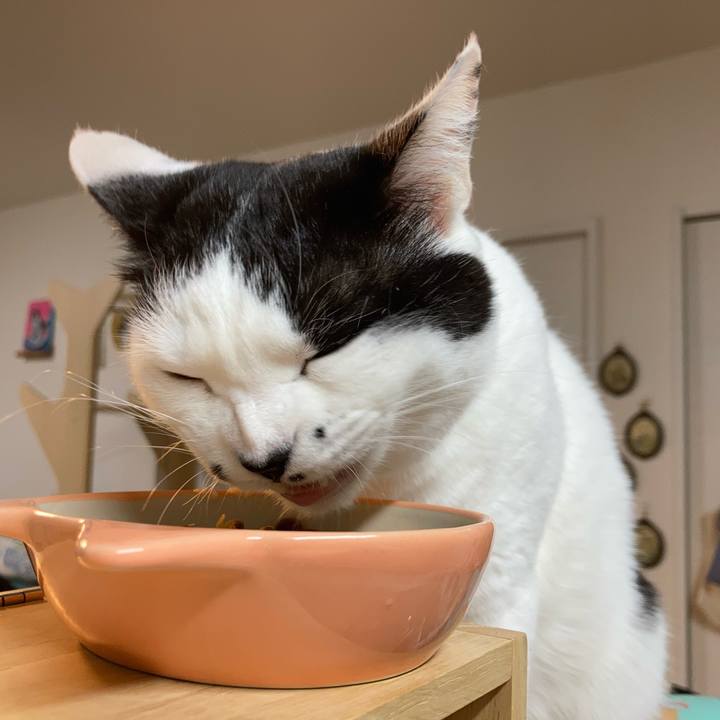 0901ace4 adac 41ae 9fb6 b8b1daaa8f2b 1770757031750