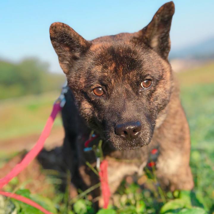 0901ca1a f924 4c27 ac62 7efdad339a30 1508977441253