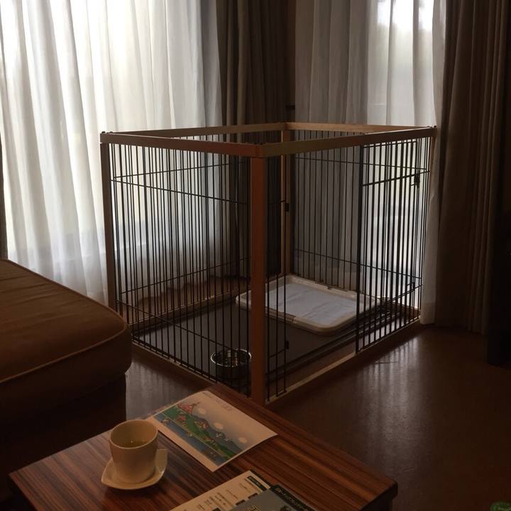 0901d1d9 f53a 48a2 9722 454a980d44c1 1509536098622