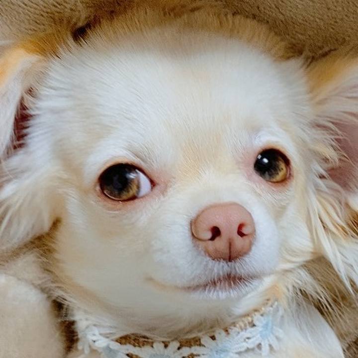 09025f82 4cf3 48d7 9c0d 5c2cc269fa39 1613212981558