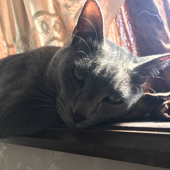 0902b650 2d98 4249 8ec1 9277b8a46e50 1522281882888