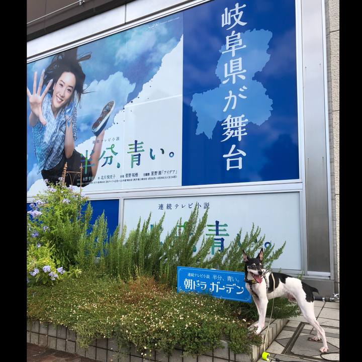 0902d5dd 6a66 4b74 8765 6d64d4c686d3 1533949836162