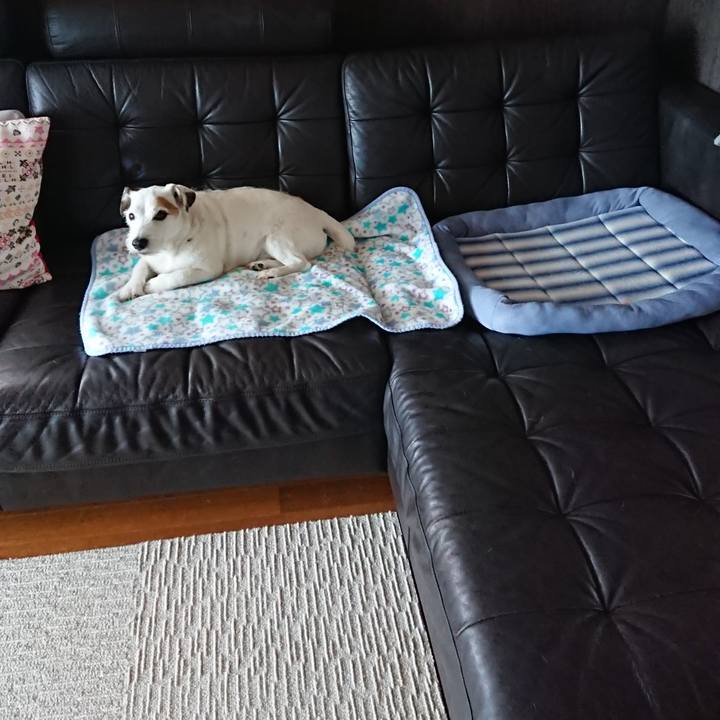 09030dbe 96d6 4472 9fab 4bef1a283ad9 1559690871017