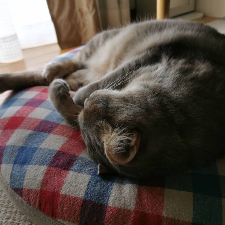 090311eb 65ec 4daa b2bf f6510823cf7d 1655011254271