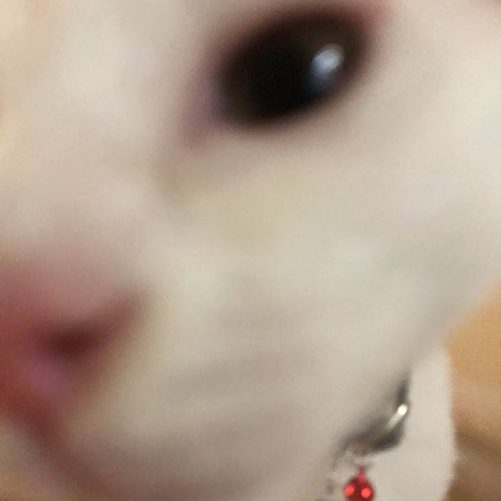 0903db37 caf9 4267 82d0 4477229a4369 1567463480186