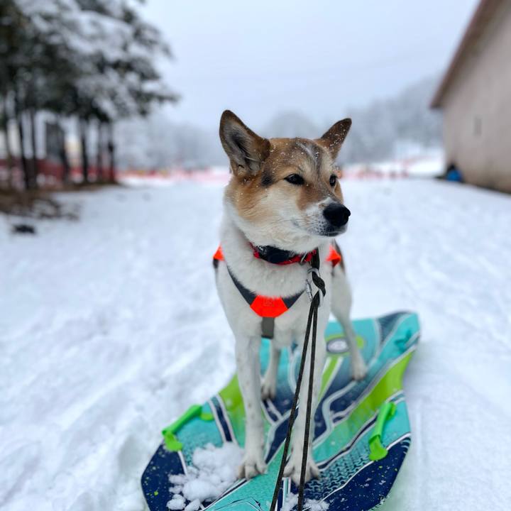 0903dfed 3447 4398 9586 f7fd2b62259d 1772511275438