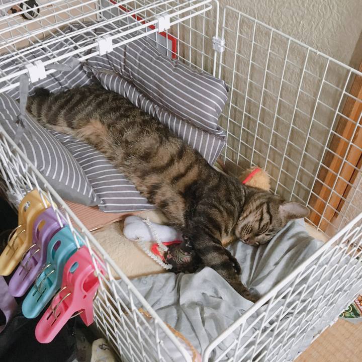 0903e190 090a 4de3 a9dc a66a4f5bd0d6 1560647777710