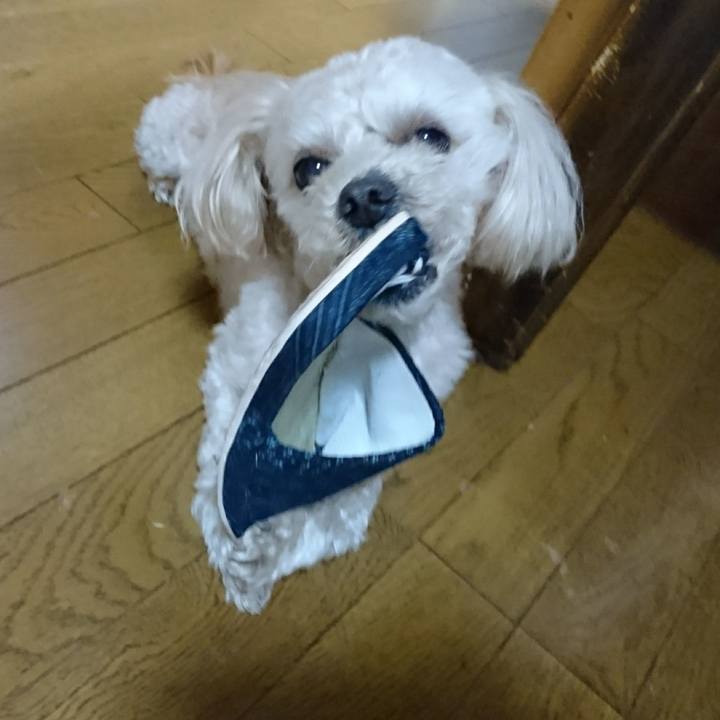 0903ee4a a710 4698 b090 4ffeb0bd7d85 1552663264551