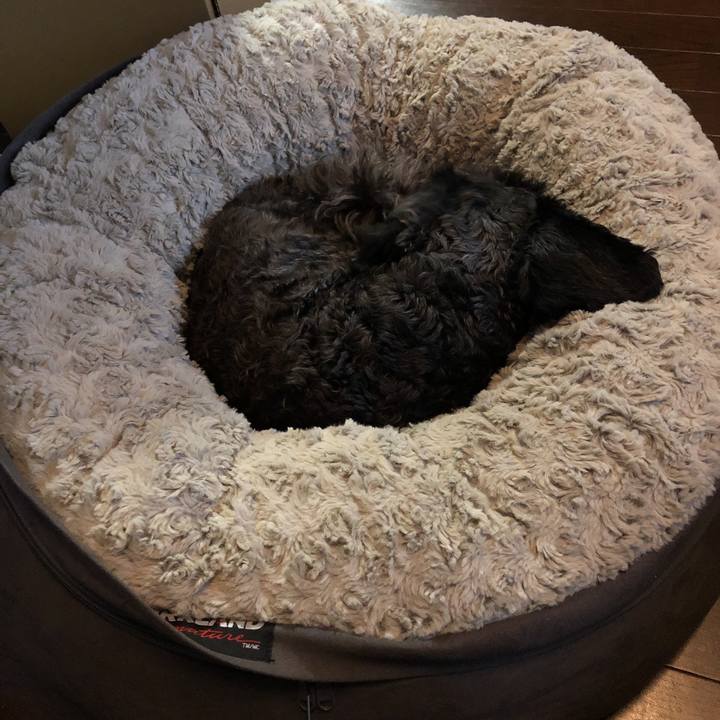 0904388a 9446 4133 b909 e050ca797de4 1571984377275