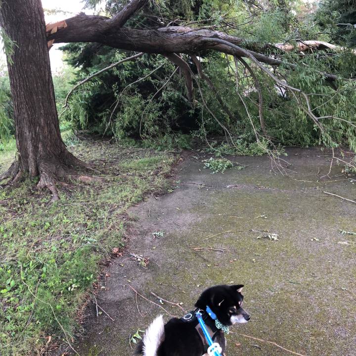 09044d75 6b38 4591 812c cc8ca42049d1 1536140121046