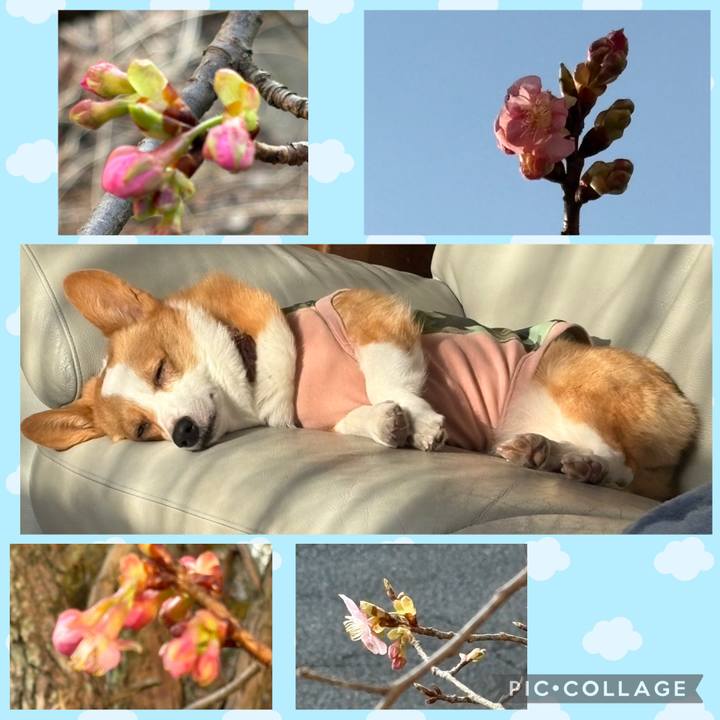 0904cbde 2ffd 4edf 978a eeb8c9281e3f 1771798482604