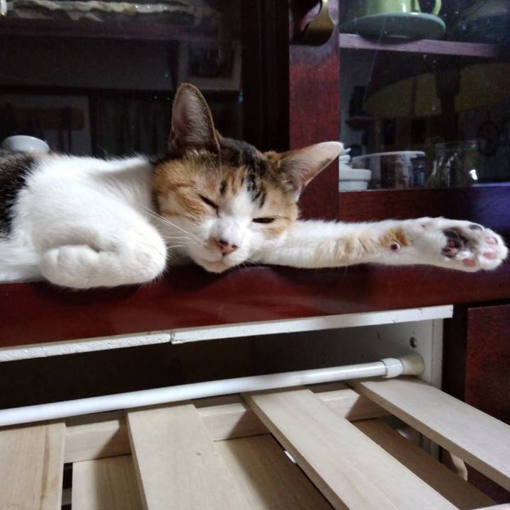 0904d11f a2cb 4990 847c b0dbba4e2d20 1641555369178