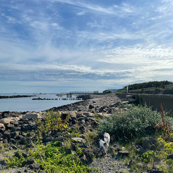 0904d64a 2ecf 42fd 953a f49de5dce8a9 1625181744843