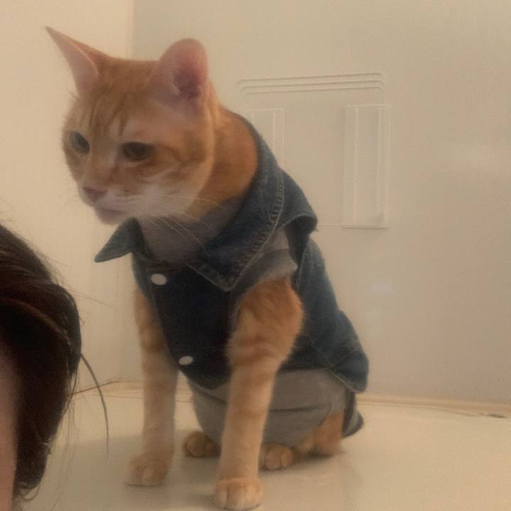 0905166d 35f3 49b9 961e 0f13a96497a9 1644923115437