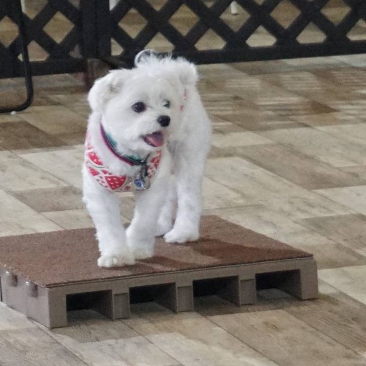 09055430 d738 41be af8c 8e5881b6cb45 1537097735099