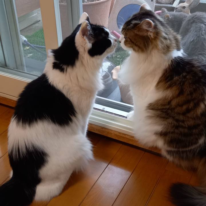 09058501 c3c8 408a a177 6b5d8807cd0b 1630624774039