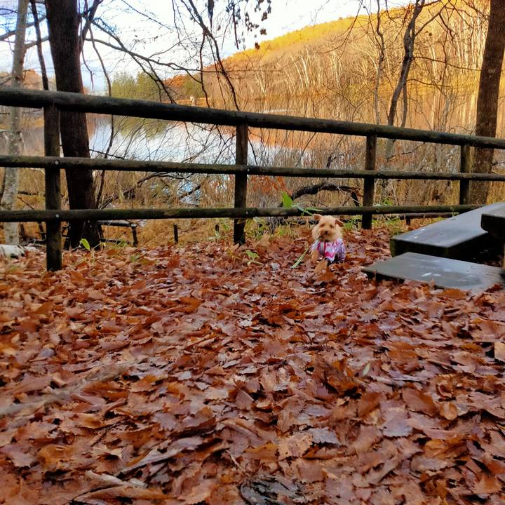 09058671 275e 4bb8 9cbb cf1f1964e372 1605943169917