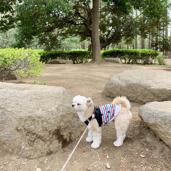 0905baeb 2aed 4804 81e6 861a164252b2 1555498836384