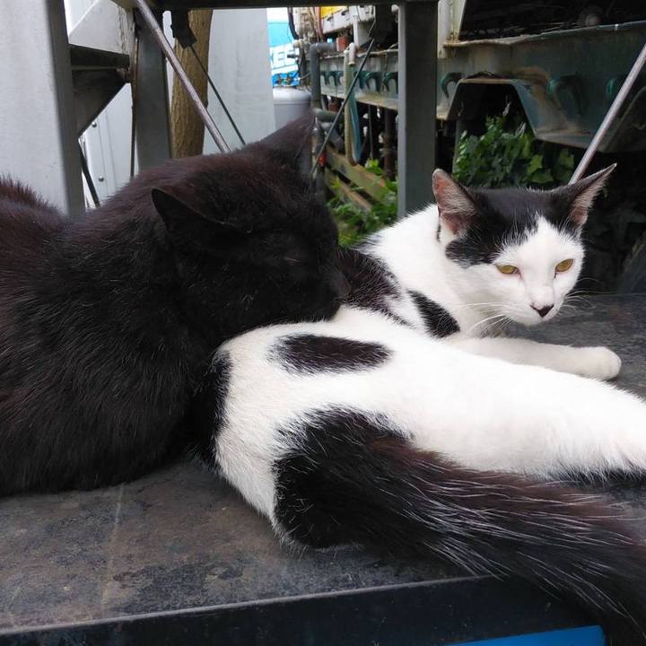 0905bdb5 6068 4f79 8bac 3e675d71a130 1590113798465